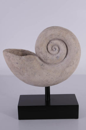 Nautilus Fossil Shell Life Size Statue - LM Treasures 