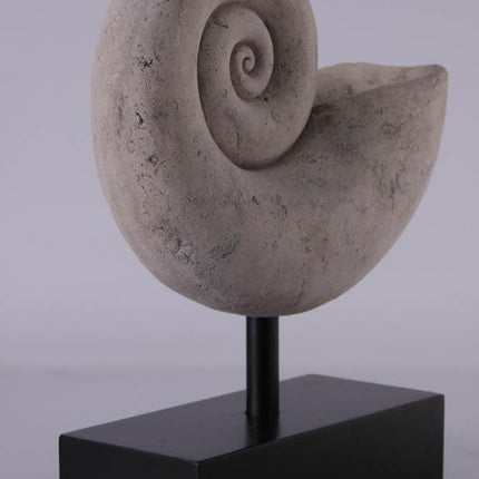Nautilus Fossil Shell Life Size Statue - LM Treasures 