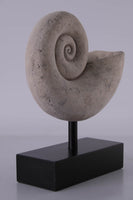 Nautilus Fossil Shell Life Size Statue - LM Treasures 