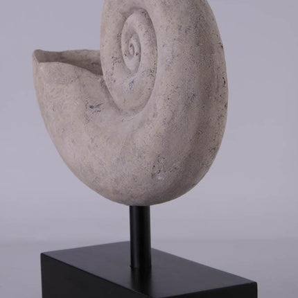 Nautilus Fossil Shell Life Size Statue - LM Treasures 