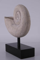 Nautilus Fossil Shell Life Size Statue - LM Treasures 