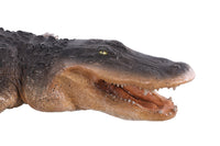 American Alligator Life Size Statue - LM Treasures 