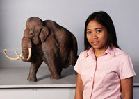 Mammoth Table Top Statue - LM Treasures 