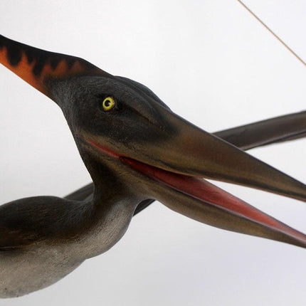 Baby Pteranodon Dinosaur Life Size Statue - LM Treasures 