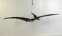 Baby Pteranodon Dinosaur Life Size Statue - LM Treasures 