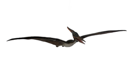 Baby Pteranodon Dinosaur Life Size Statue - LM Treasures 