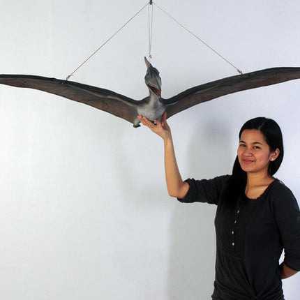 Baby Pteranodon Dinosaur Life Size Statue - LM Treasures 