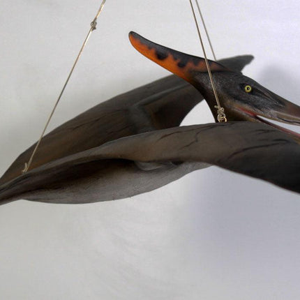 Baby Pteranodon Dinosaur Life Size Statue - LM Treasures 