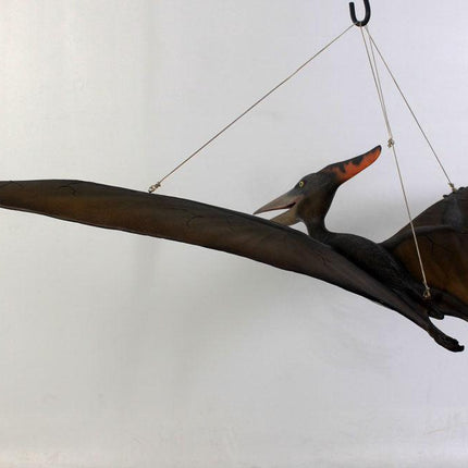 Baby Pteranodon Dinosaur Life Size Statue - LM Treasures 