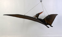 Baby Pteranodon Dinosaur Life Size Statue - LM Treasures 