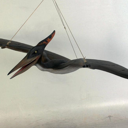 Baby Pteranodon Dinosaur Life Size Statue - LM Treasures 