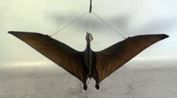 Baby Pteranodon Dinosaur Life Size Statue - LM Treasures 