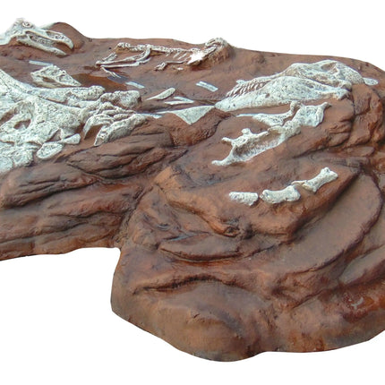 Dinosaur Fossil Dig Life Size Statue LM Treasures - H