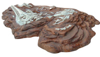 Dinosaur Fossil Dig Life Size Statue - LM Treasures 