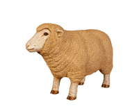 Baby Merino Ewe Life Size Statue - LM Treasures 