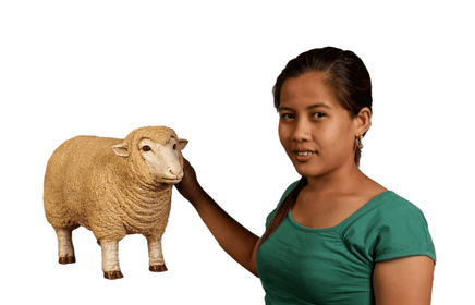 Baby Merino Ewe Life Size Statue - LM Treasures 