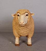 Baby Merino Ewe Life Size Statue - LM Treasures 