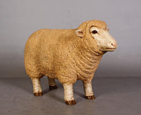 Baby Merino Ewe Life Size Statue - LM Treasures 