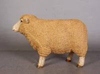 Baby Merino Ewe Life Size Statue - LM Treasures 