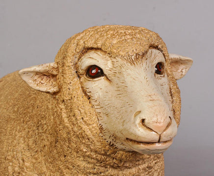 Baby Merino Ewe Life Size Statue - LM Treasures 