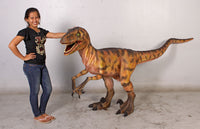 Brown Deinonychus Dinosaur Life Size Statue - LM Treasures 