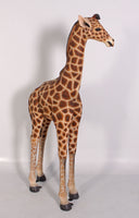 Baby Giraffe Life Size Statue - LM Treasures 