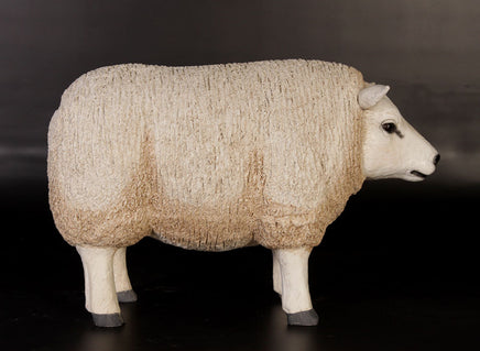 Texelaar Baby Sheep Life Size Statue - LM Treasures 
