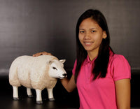 Texelaar Sheep Life Size Statue - LM Treasures 