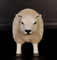 Texelaar Sheep Life Size Statue - LM Treasures 