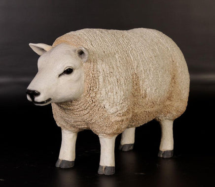 Texelaar Baby Sheep Life Size Statue - LM Treasures 