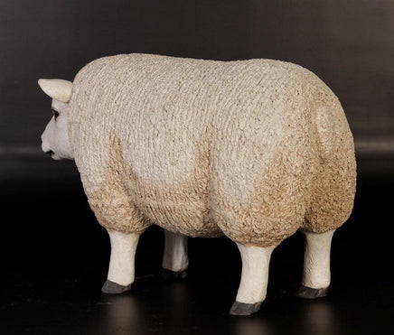 Texelaar Baby Sheep Life Size Statue - LM Treasures 