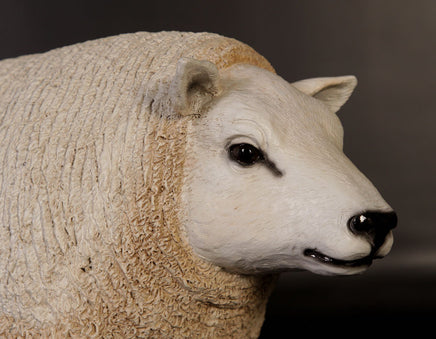 Texelaar Baby Sheep Life Size Statue - LM Treasures 