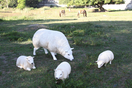 Texelaar Sheep Life Size Statue - LM Treasures 