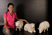 Texelaar Sheep Head Down Life Size Statue - LM Treasures 
