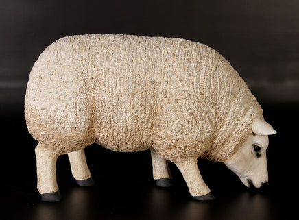 Texelaar Baby Sheep Head Down Life Size Statue - LM Treasures 