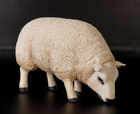 Texelaar Sheep Head Down Life Size Statue - LM Treasures 
