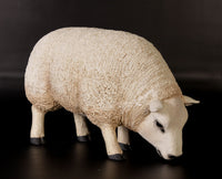 Texelaar Baby Sheep Head Down Life Size Statue - LM Treasures 