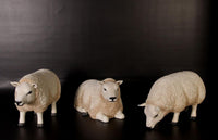 Texelaar Sheep Head Down Life Size Statue - LM Treasures 