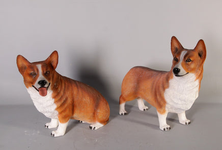 Corgi Standing Life Size Statue - LM Treasures 