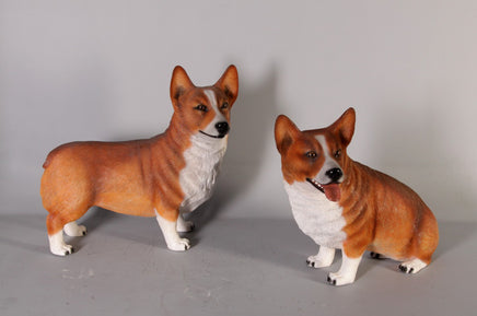 Corgi Standing Life Size Statue - LM Treasures 