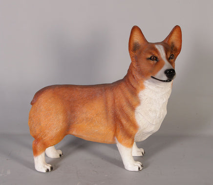 Corgi Standing Life Size Statue - LM Treasures 