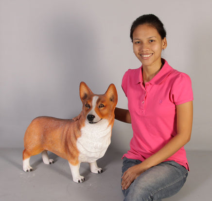Corgi Standing Life Size Statue - LM Treasures 