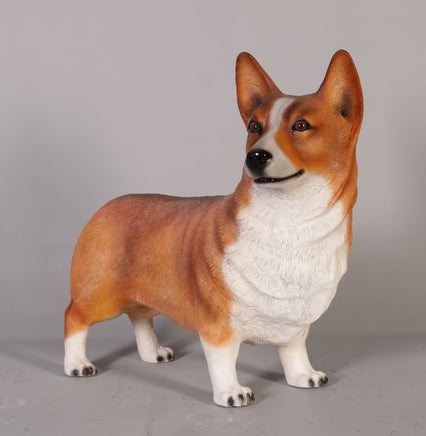 Corgi Standing Life Size Statue - LM Treasures 