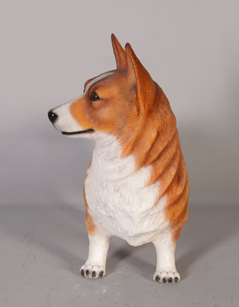 Corgi Standing Life Size Statue - LM Treasures 