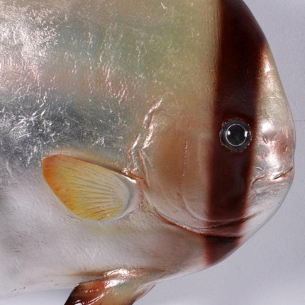Batfish Statue - LM Treasures 
