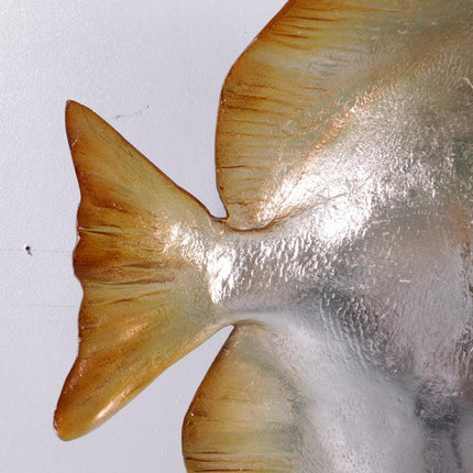 Batfish Statue - LM Treasures 