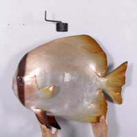 Batfish Statue - LM Treasures 