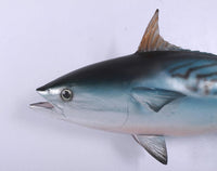 Mackerel Tuna Statue - LM Treasures 