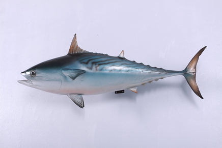 Mackerel Tuna Life Size Statue - LM Treasures 