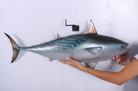 Mackerel Tuna Statue - LM Treasures 